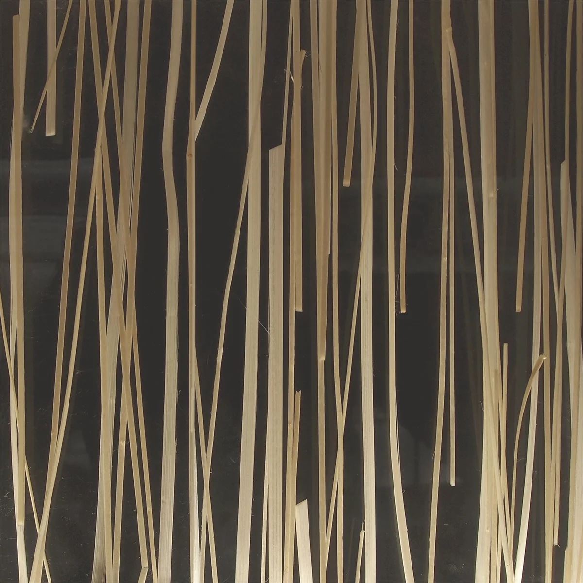 Texture Mikado Texture Mikado