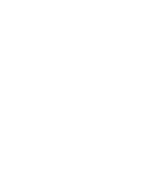 picto focus securite
